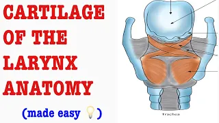 CARTILAGES OF THE LARYNX MADE EASY: D&N Medical Series