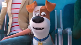 The Secret Life Of Pets 2 (2/10) | Max goes to the vet | Cartoon for kids