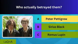 Harry Potter Quiz  | Are You A Wizard Or A Muggle?