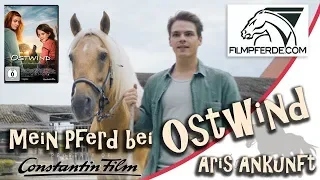 Making Of - Mein Pferd Brego bei Ostwind - Aris Ankunft