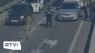 Полицейские остановили машины ради утят
