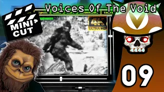 [Vinesauce] Joel - Voices Of The Void Highlights ( Part 9 )