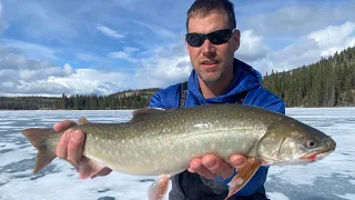 Arctic Char in the Yukon