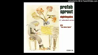 Prefab Sprout - Nightingales (12'' Extended Version)
