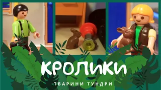 Кролики. Тварини Тундри | Комарко