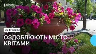 "Кошти ще не підраховували". Як Хмельницький оздоблюють квітами