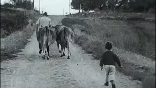 1930's Life on an American Farm Vintage Black and White Video Footage