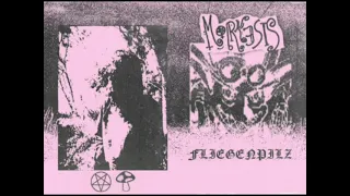 Morkesis - Fliegenpilz