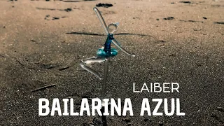 BAILARINA AZUL - LAIBER (Video Oficial)