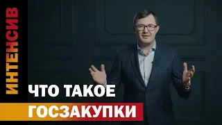 1 урок. Что такое госзакупки? Интенсив Госзакупки.