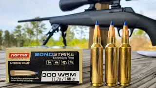 300WSM at 1,000 yards!!! - Norma BondStrike