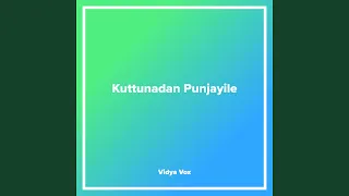 Kuttunadan Punjayile