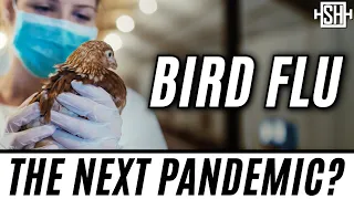 I looked at the recent bird flu data, and now I'm really scared.