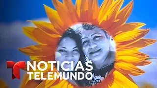 Noticias Telemundo, 3 de junio de 2017 | Noticiero | Noticias Telemundo
