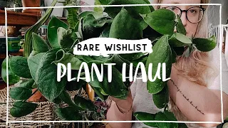 MY BEST PLANT HAUL EVER? │ Planthaven Toronto & House of Plants