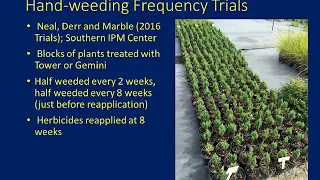 Improving Nursery Weed Control with Better Herbicide Rotations