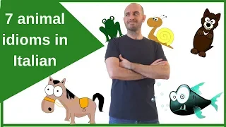 Espressioni italiane con gli animali 🐸 🐠 🐎 | Impara l'italiano con Francesco