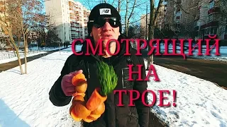 БУ! Будни одного Троещанца!