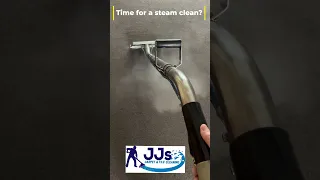 Steam Cleaning ACTION
