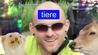 STROPPO - Tiere (Earrape) (audio)