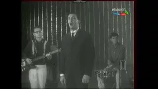 Муслим Магомаев - Фиалки. 1966 г.
