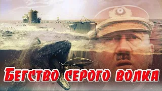 Бегство серого волка . Новая редакция