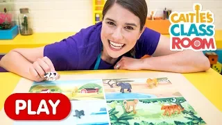 Where Do These Animals Live? | Caitie's Classroom