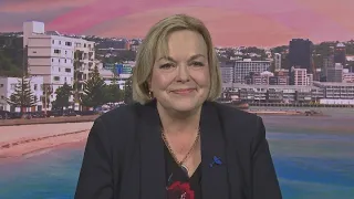 Judith Collins says Government still 'soft on gangs' despite major bust