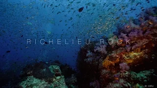 [4K, Sony A7SII] Underwater | Richelieu Rock, Similan, Thailand