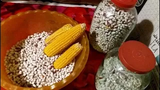 КАК ХРАНИТЬ ФАСОЛЬ В ДОМАШНИХ УСЛОВИЯХ?!  HOW TO STORE BEANS IN HOME CONDITIONS ?!