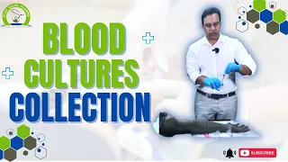 BLOOD CULTURES COLLECTION | PLAB GUIDE ACADEMY