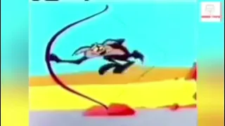 The Roadrunner and the Coyote   New episodes from The Looney Tunes Cartoons