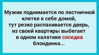 Соседка в Халатике и Мужик! Подборка Веселых Жизненных Анекдотов! Юмор!