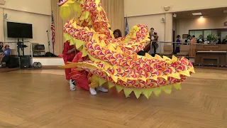 Dragon Dance (舞龙)