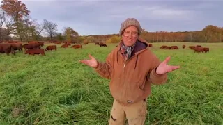 Greg explaining what he looks for in a young grass genetic bull