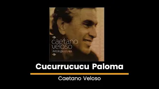 Cucurrucucu Paloma  //  Caetano Veloso - Lyrics
