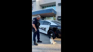 K9 For a Day -Koda Appreciates Police K9's