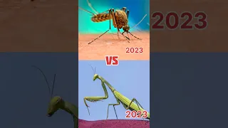 2023 & 5500 bce praying mantis vs 2023 & 5500 bce mosquito #MYTHOLOGY MK #viralvideo