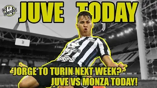 JUVENTUS NEWS |JORGE TO TURIN NEXT WEEK? | JUVE VS MONZA TODAY!