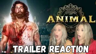 ANIMAL Official Trailer Reaction | Ranbir Kapoor & Sandeep Vanga | NETFLIX