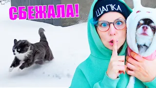 КОШКА ПОТЕРЯЛАСЬ! Заброшенный дом, прогулка с питомцами, первый снег