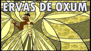 ERVAS DE OXUM