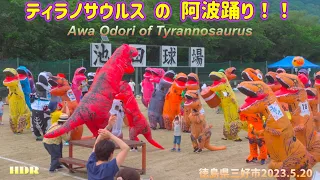 【阿波おどり】ﾃｨﾗﾉｻｳﾙｽﾚｰｽ･徳島県三好市2023. Tyrannosaurus dancing Awa Odori🤣(Miyoshi city, Tokushima)ティラノレース🦖