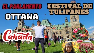 de paseo en ottawa #caleñosencanada #ottawa #festival #drone #parlamento #tulip #camioneros #colombi