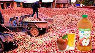 How is Apple Juice Produced, Modern Fruit Juice Production Process Saves Millions of Dollars