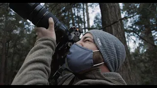 Yosemite New Years (Canon C200, EOS R, iPhone 12 Pro Max)