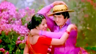 NTR, Manjula Evergreen Superhit Video Song | Maa iddari Katha Movie Video Songs | Telugu Songs