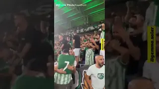 Maccabi Haifa fans crazy reaction after score just one goal against PSG! 😅 #shorts