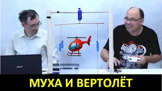 Муха и вертолёт ● 1