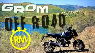 Honda Grom OFF ROAD ft. Maxxis M6024 knobbly tyres [QuickTest#10]